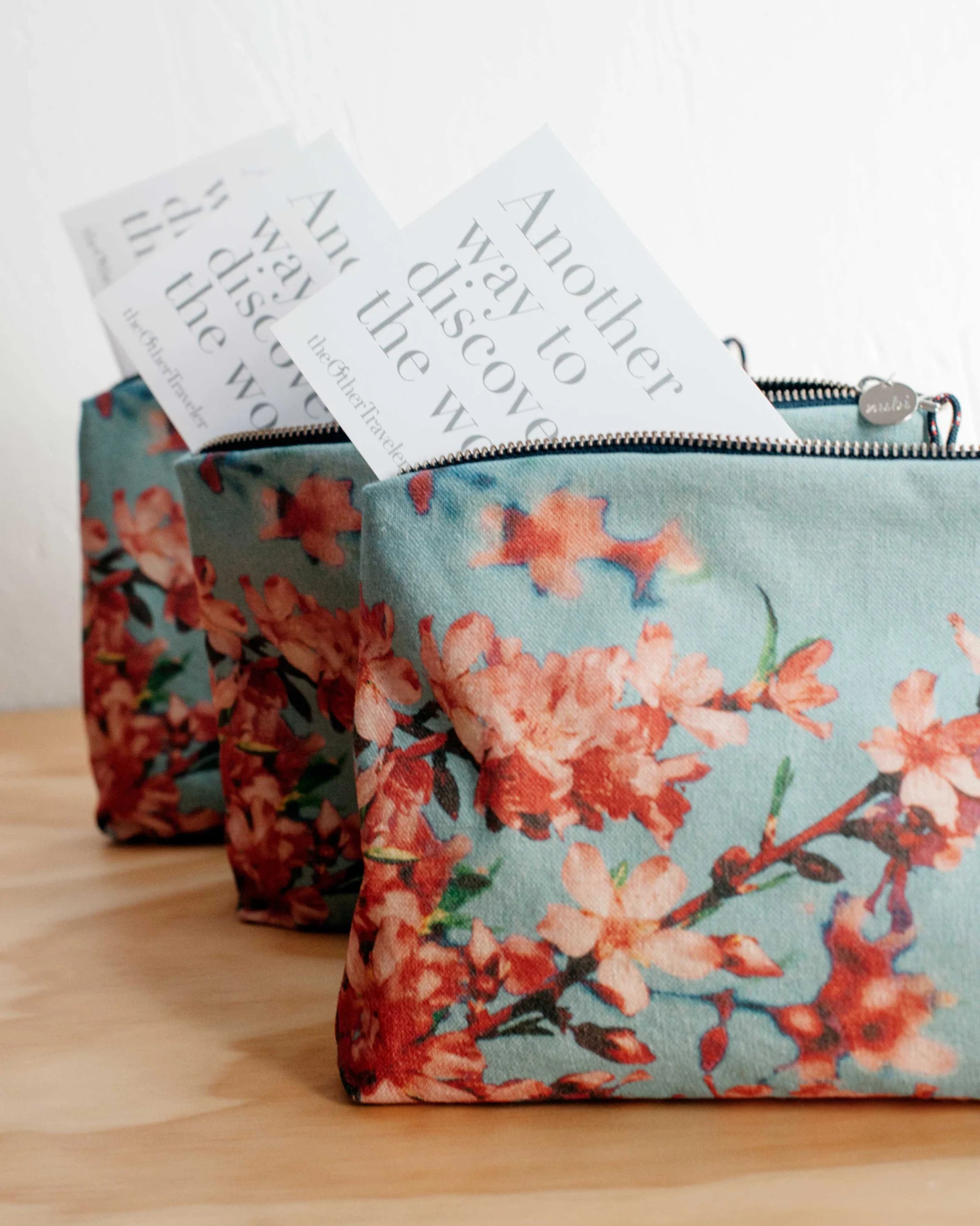 zubi x the other traveler