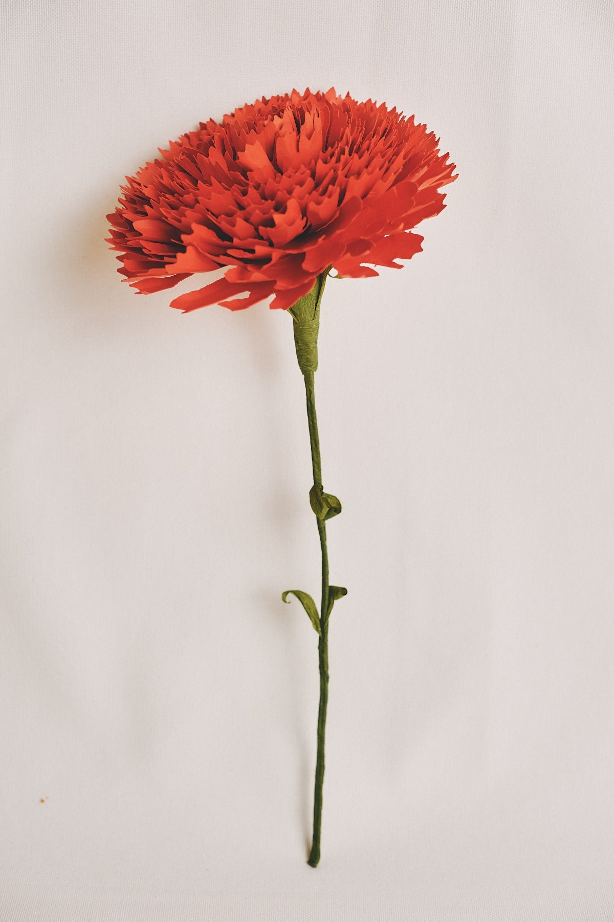 LA TIENDA DE FLORES DE ZUBI