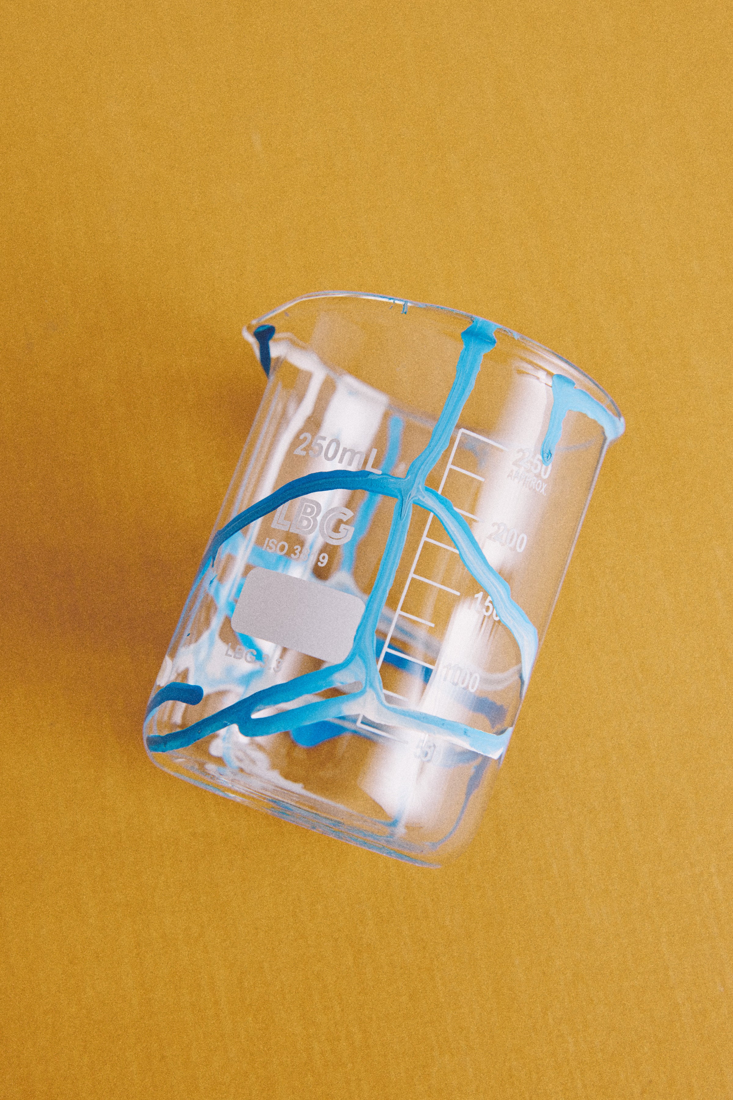 VASO PINTADO A MANO 250ml