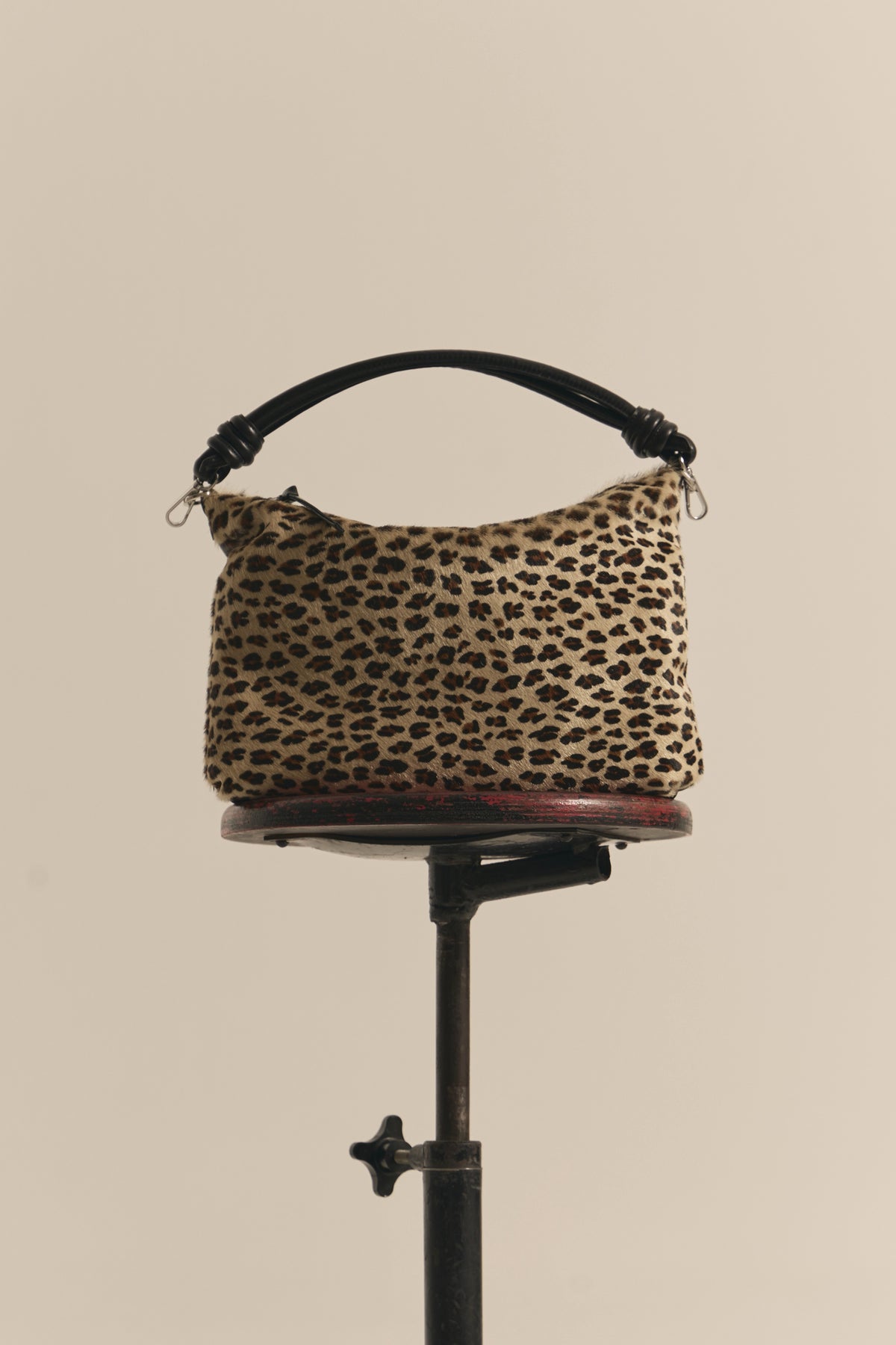 JACQUELINE LEOPARDO