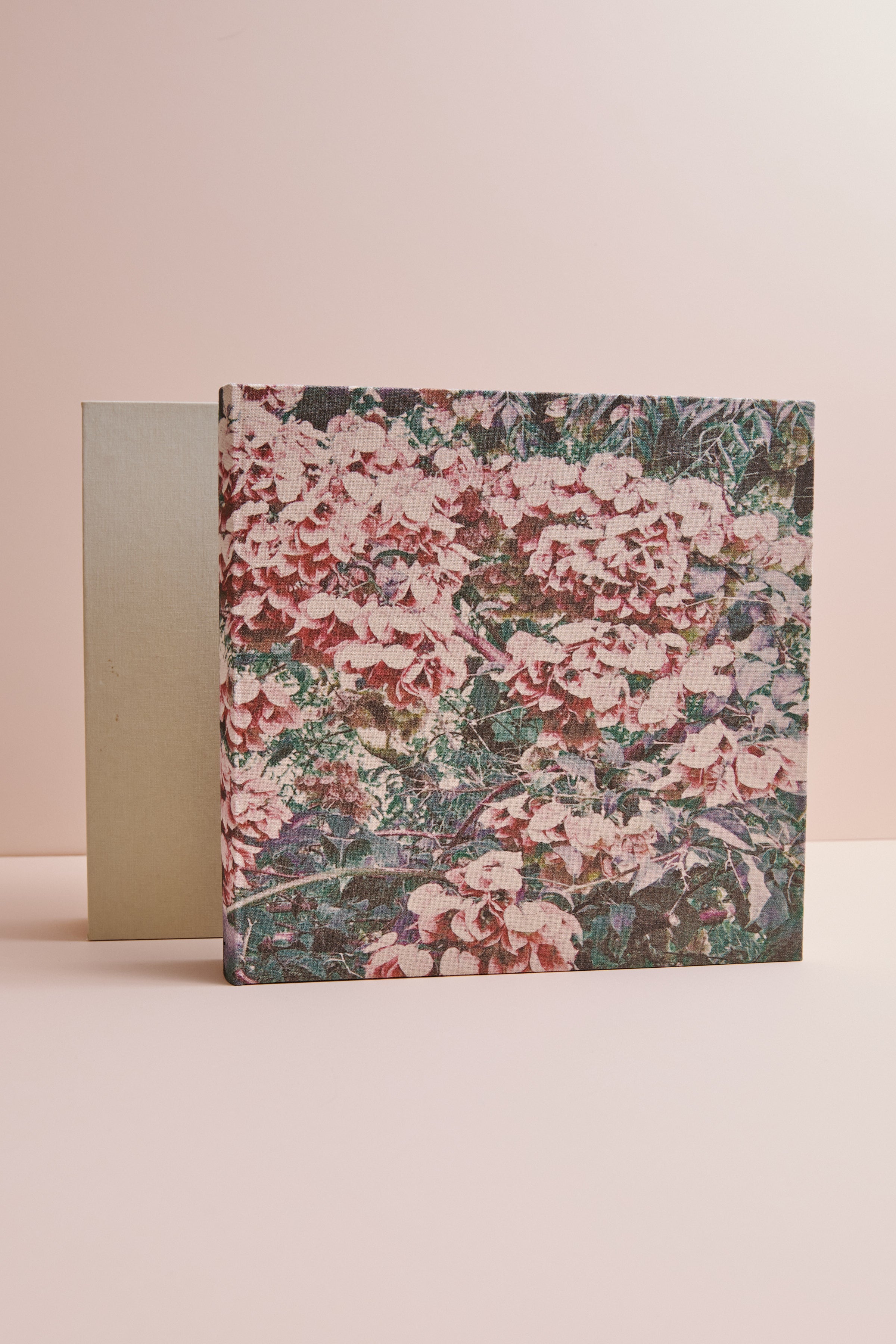 Álbum Dalmatia canvas