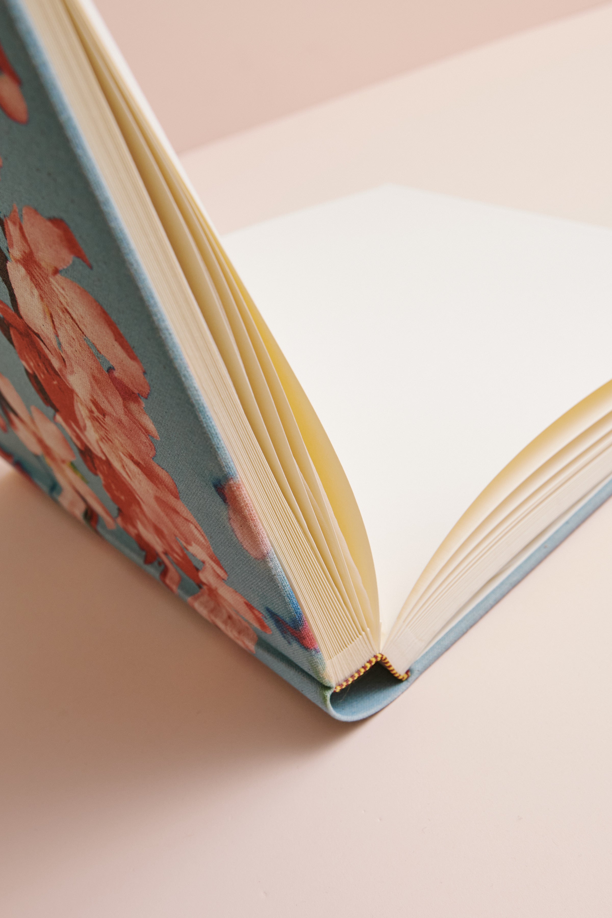 Álbum Cherry Blue canvas