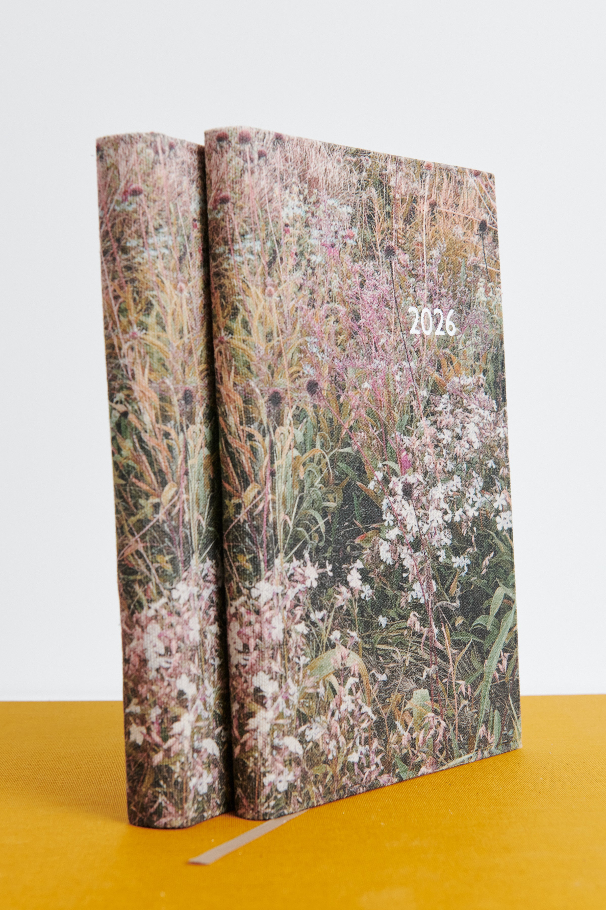 AGENDA DIARIA NYHOLM