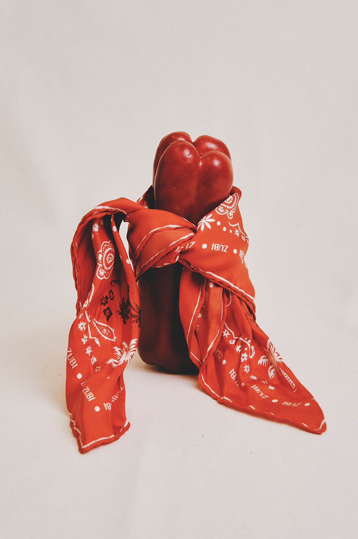 CLOE RED BANDANA