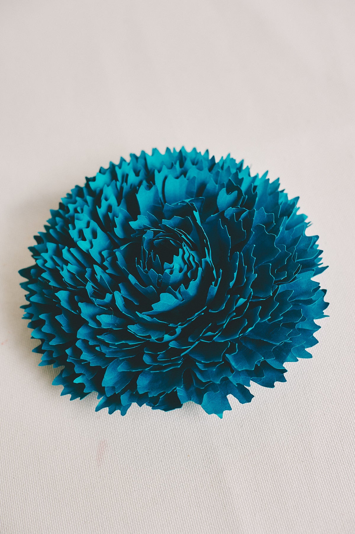 Broche Clavel Azul