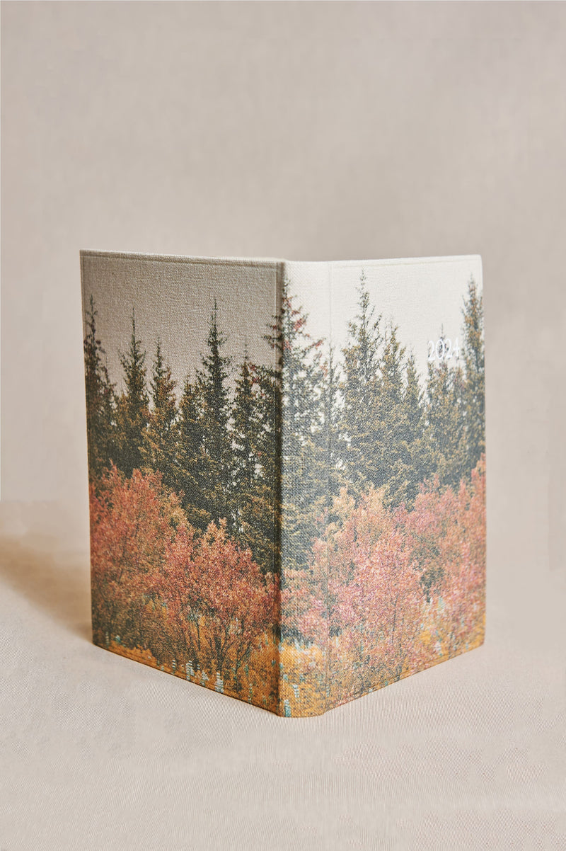 Agenda diaria Brunjol canvas