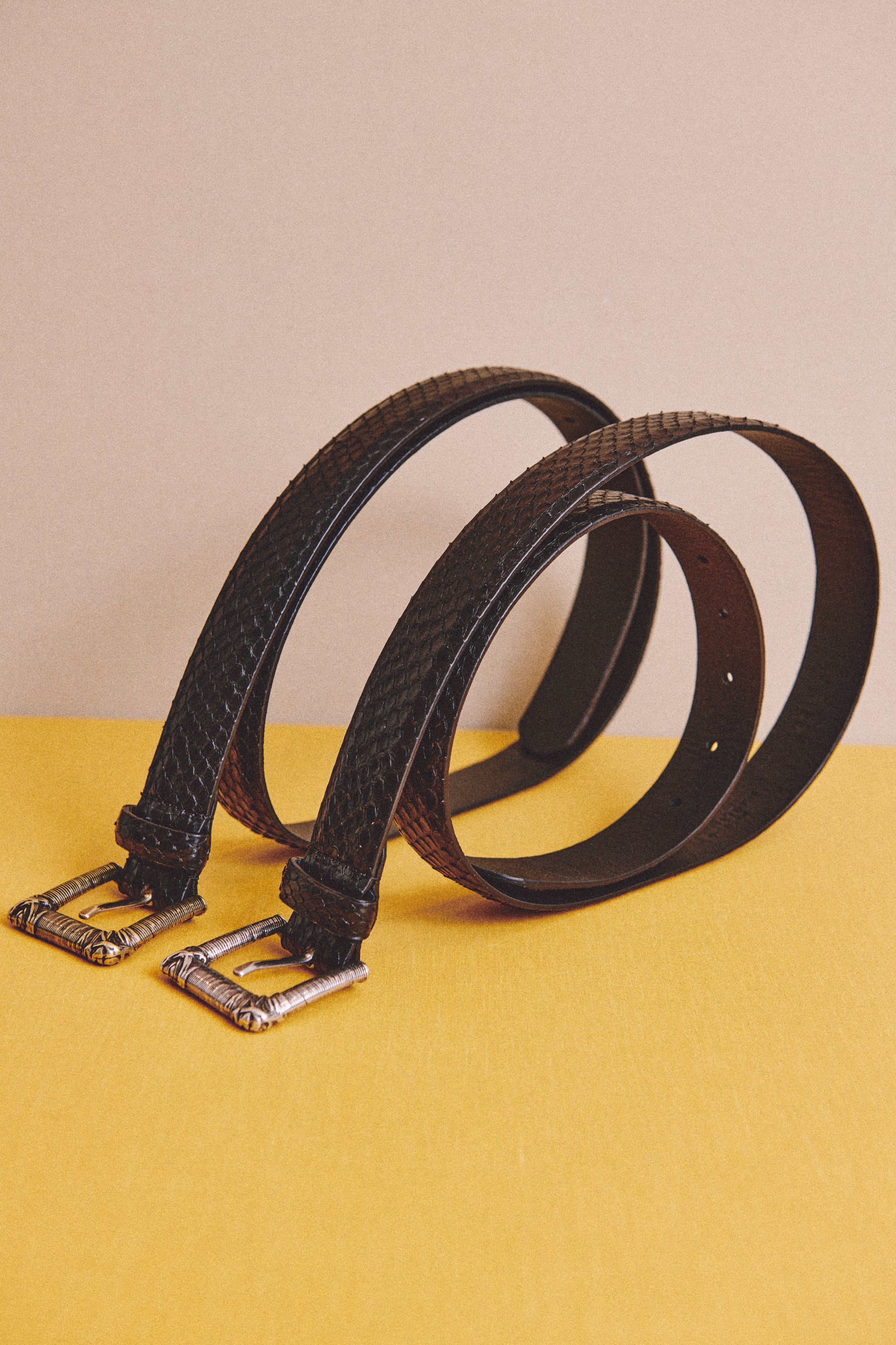 cinturón negro de ZUBI escamas