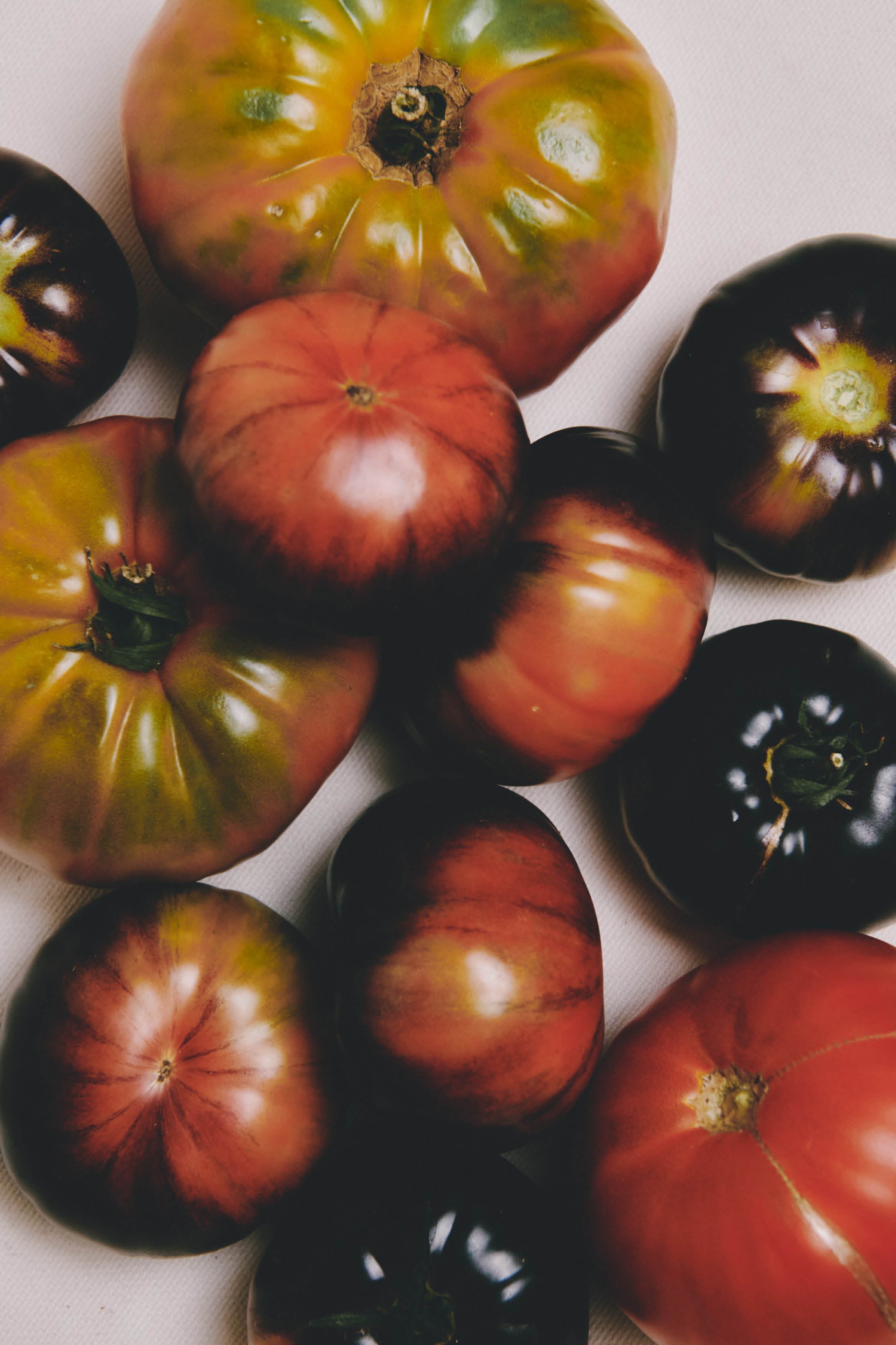 HOME FRAGRANCE TOMATO LEAF CLUB G19