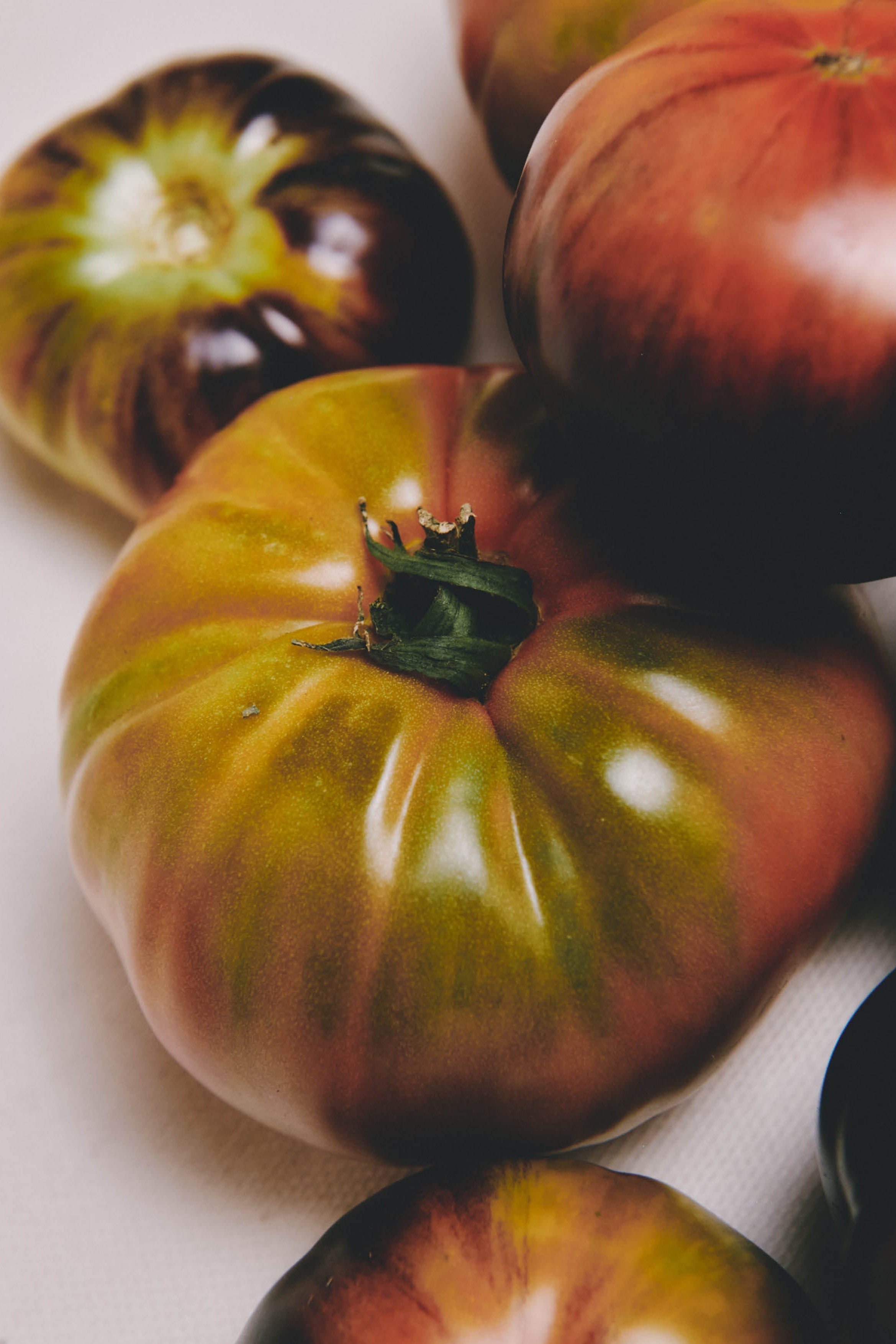 PACK G19 TOMATO LEAF CLUB