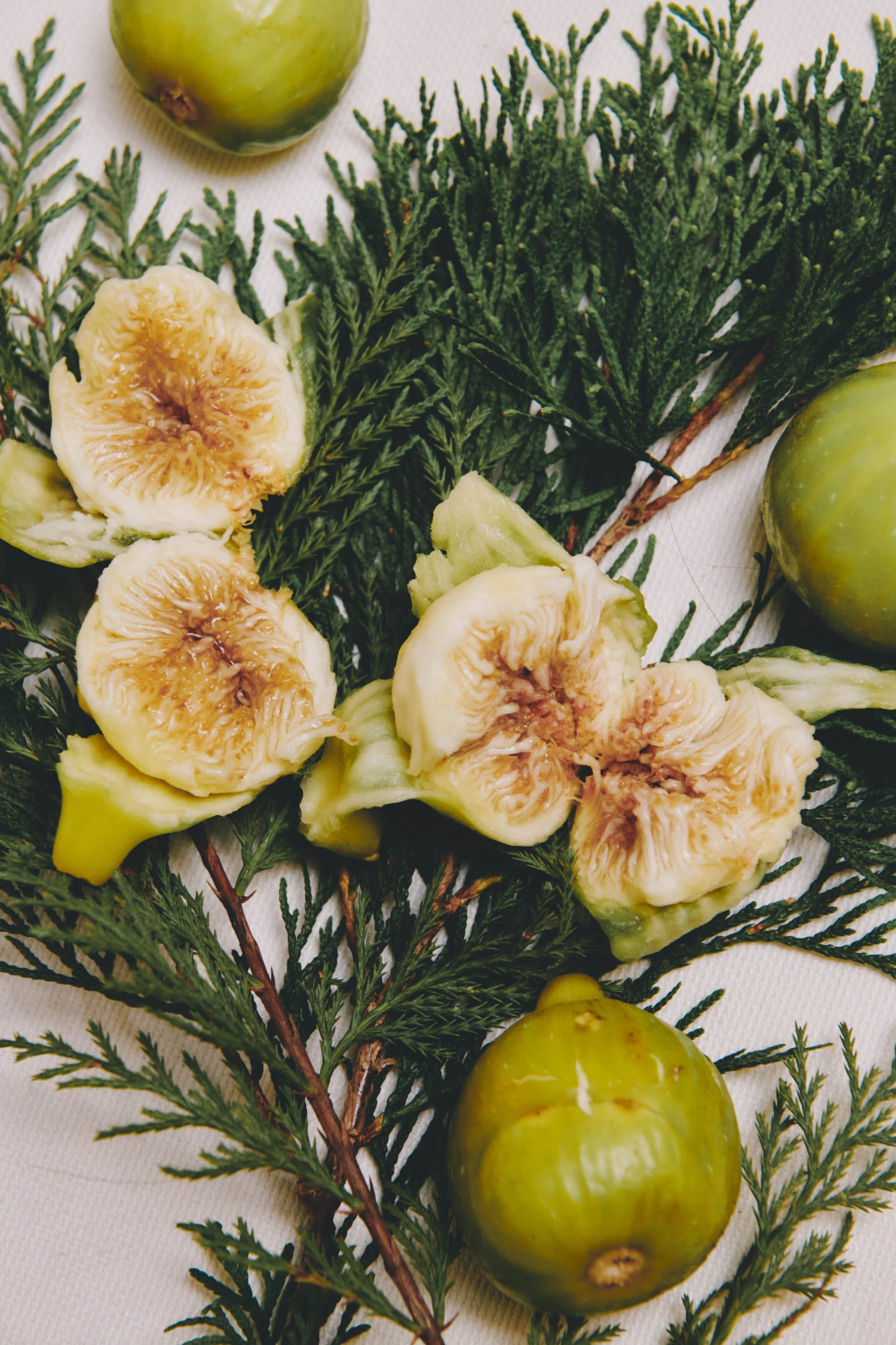 HOME FRAGRANCE FIG UNDER RAIN G19