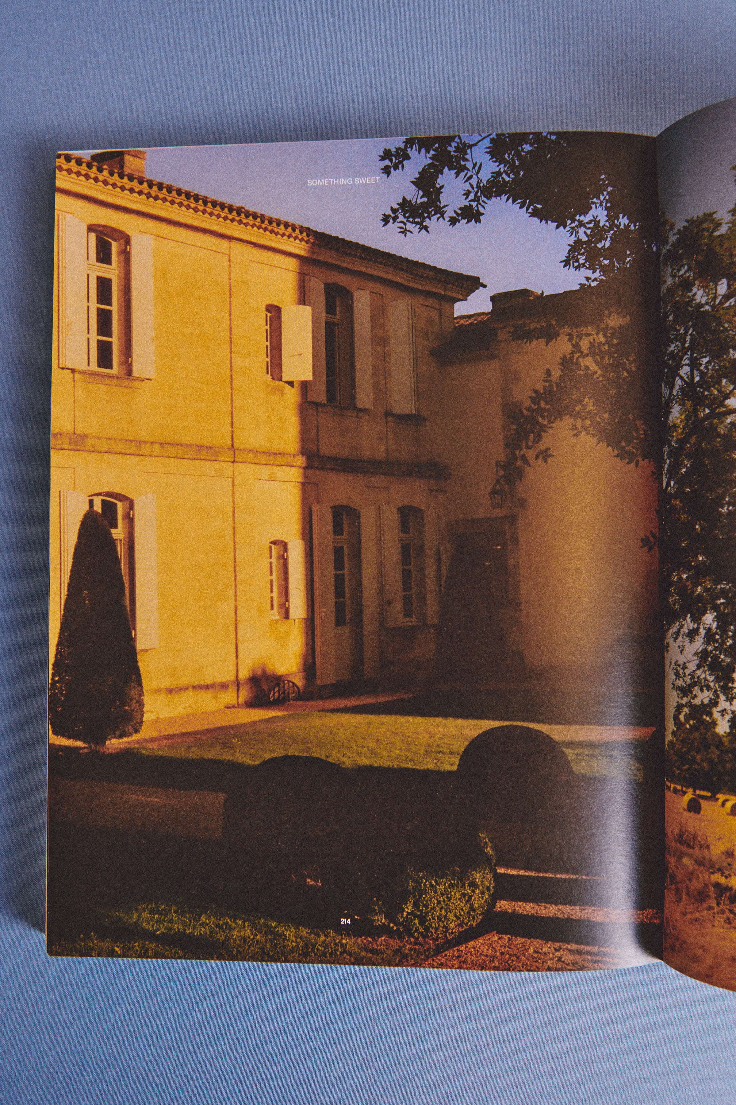 revista colaboración ZUBI