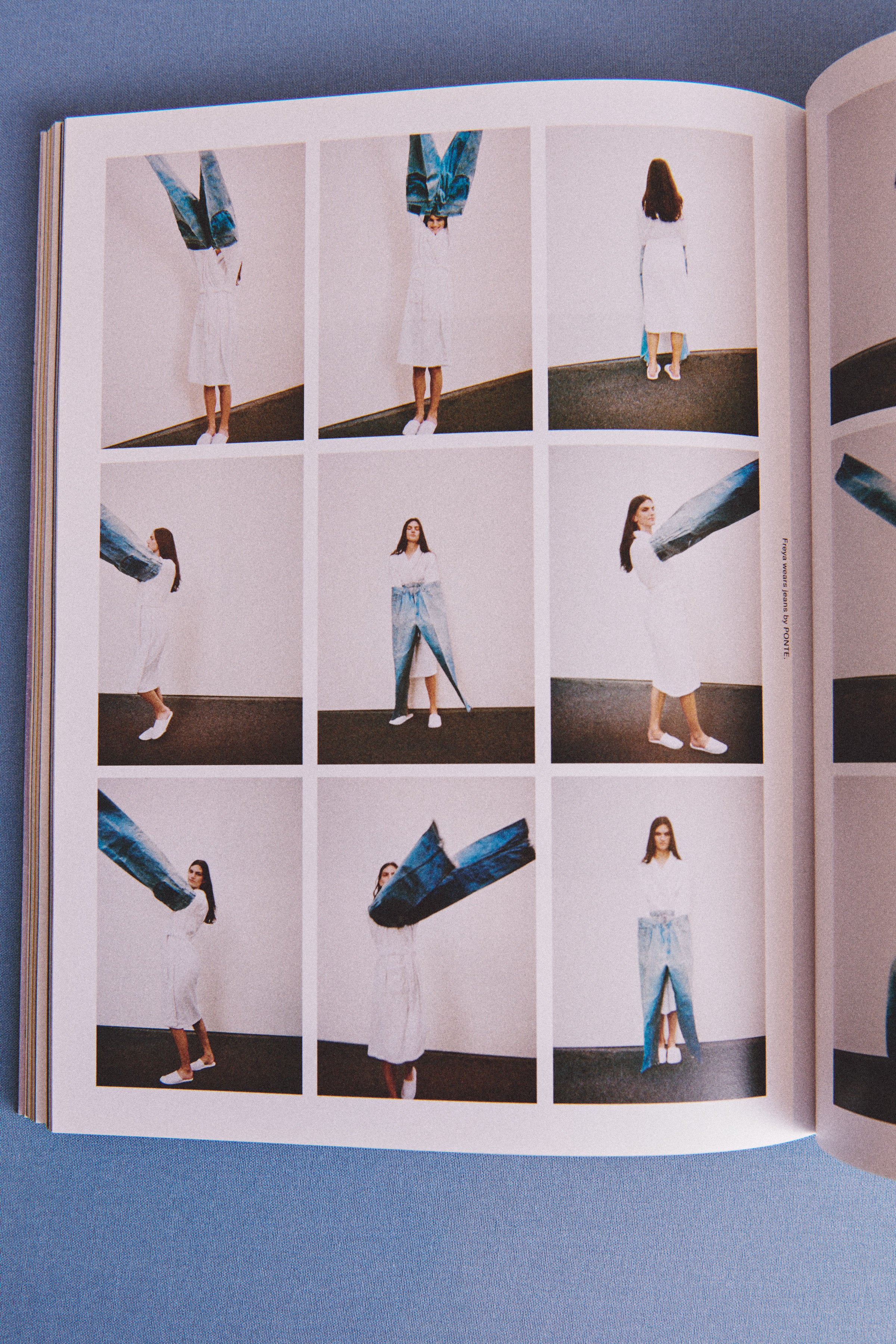 revista internacional ZUBI