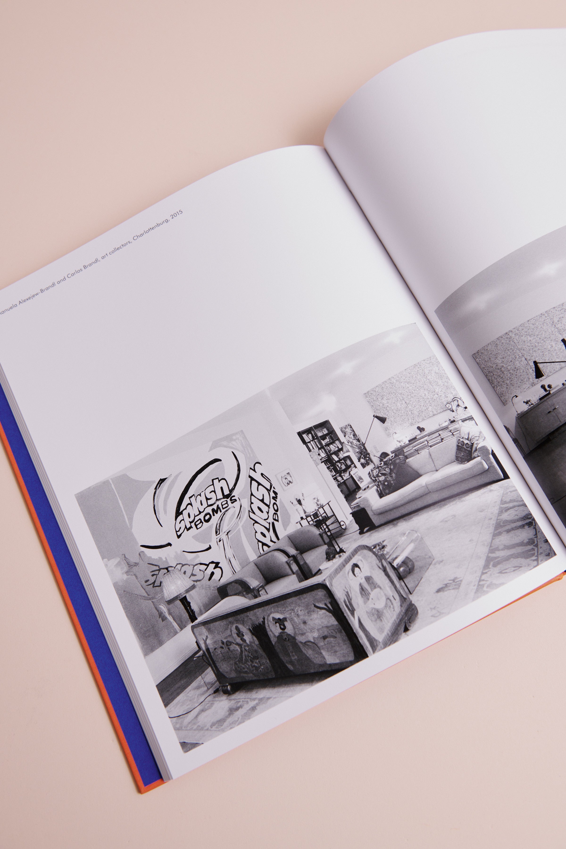 LIBRO BERLIN LIVING ROOMS de Dominique Nabokov