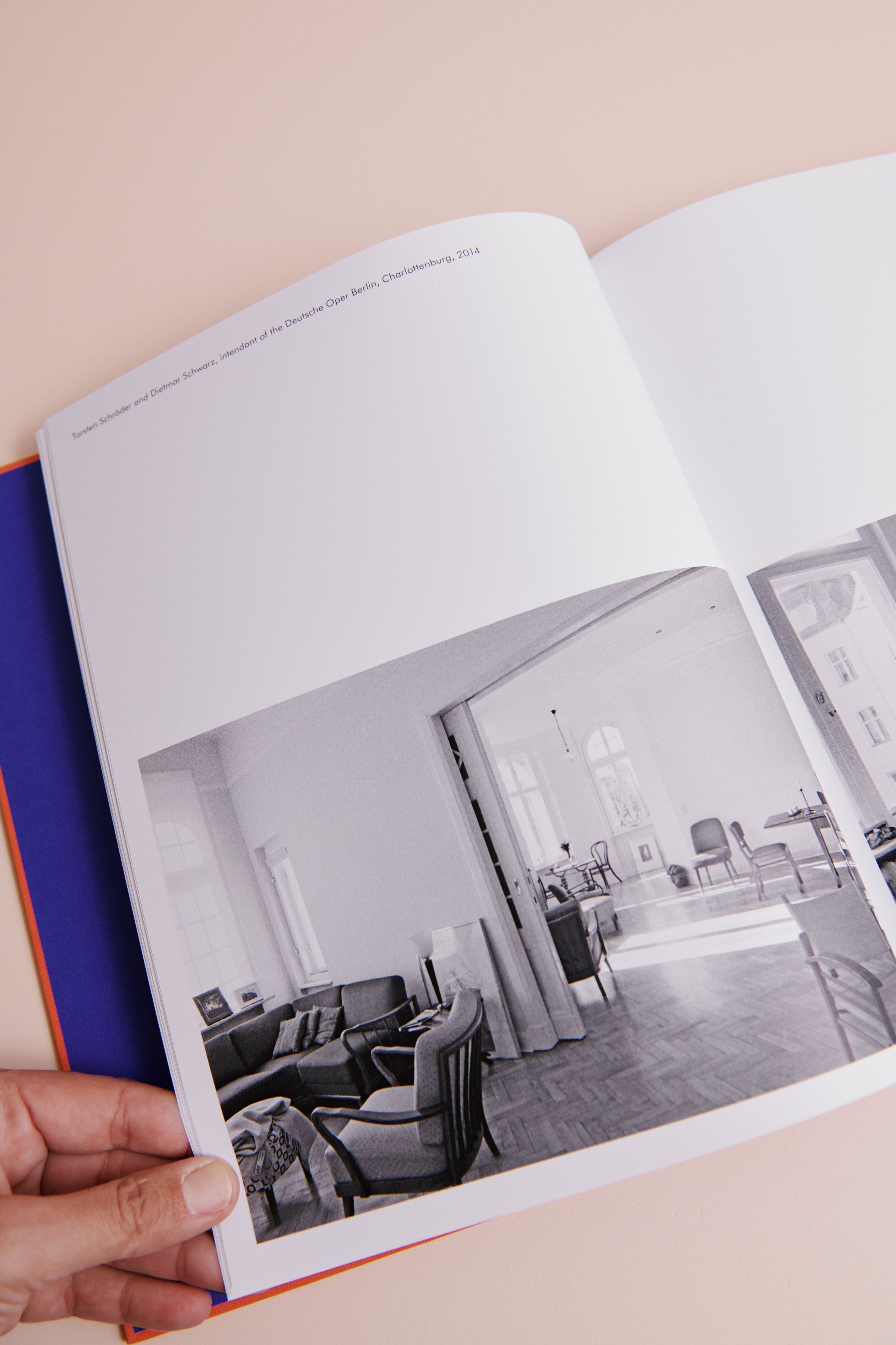 LIBRO BERLIN LIVING ROOMS de Dominique Nabokov