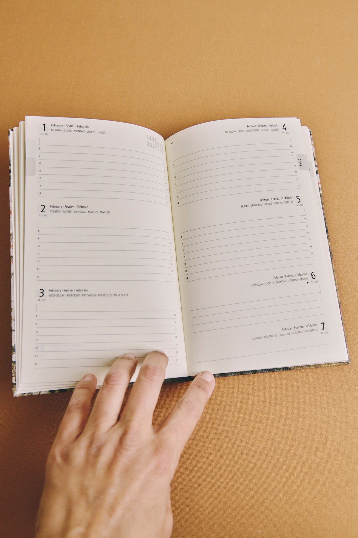 AGENDA SEMANAL FORMENTOR
