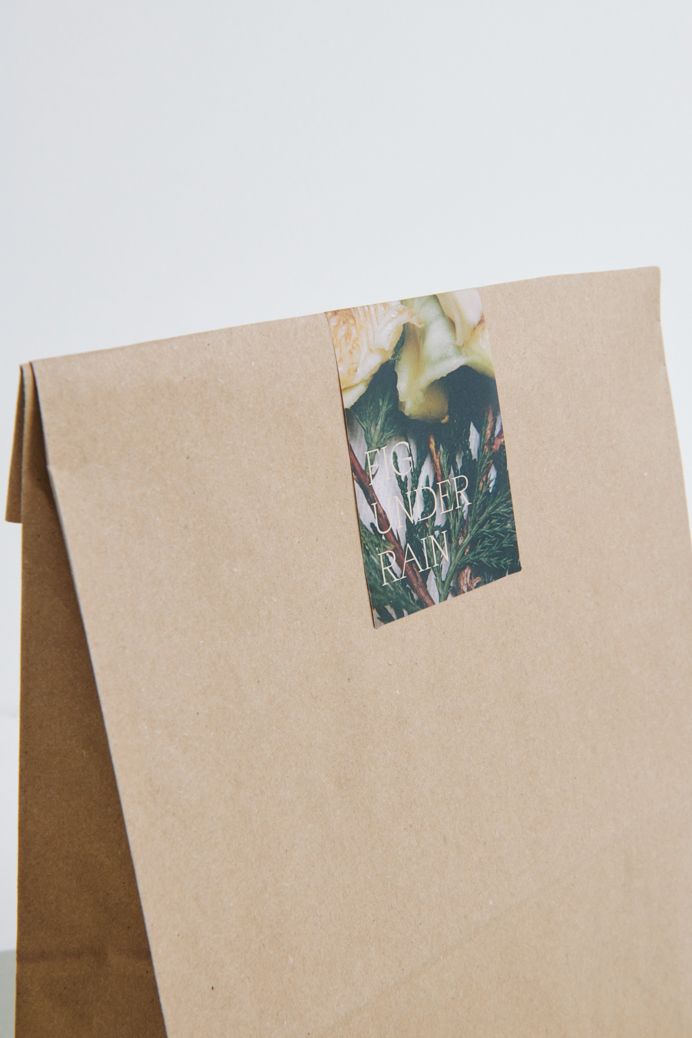 HOME FRAGRANCE FIG UNDER RAIN G19